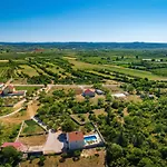 Dom wakacyjny My Dalmatia - Maria With Private Swimming Pool Kakma