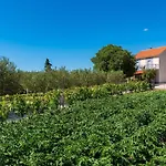 My Dalmatia - Maria With Private Swimming Pool *
