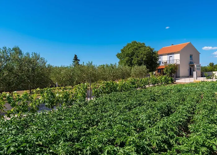 My Dalmatia - Maria With Private Swimming Pool *